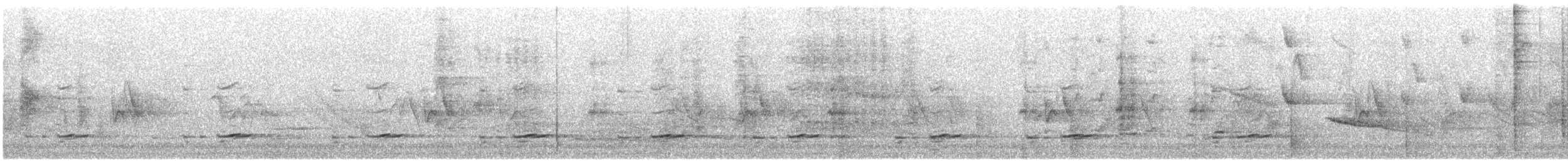 פנינית הקסדה - ML646233252