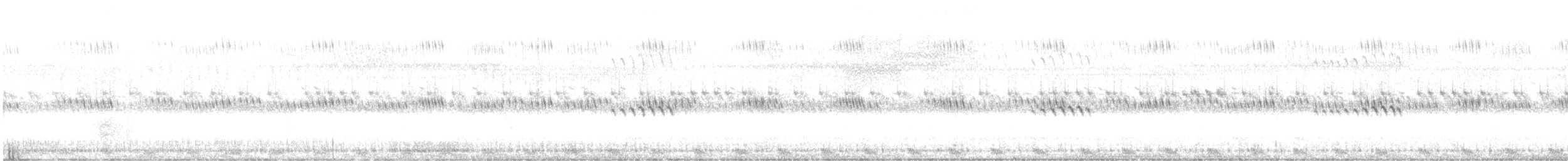 Large-tailed Nightjar - ML646233934