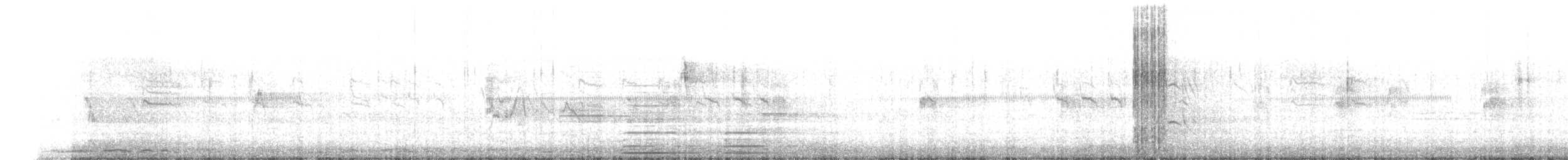 Laughing Dove - ML646234031