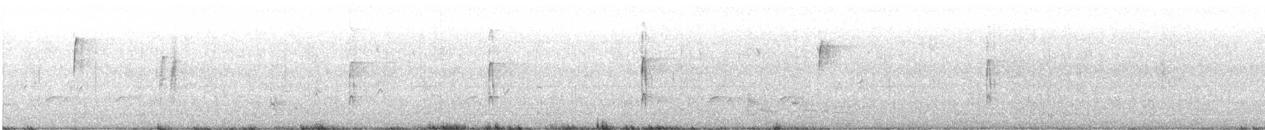 Ladder-backed Woodpecker - ML646234061