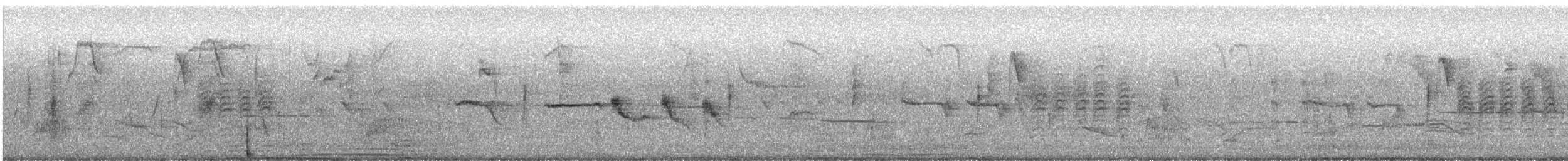 White-crowned Sparrow - ML646234066