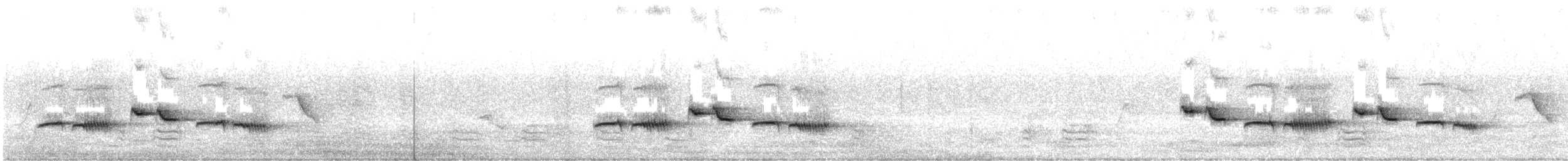 Белокрылый тугайный соловей - ML646234592