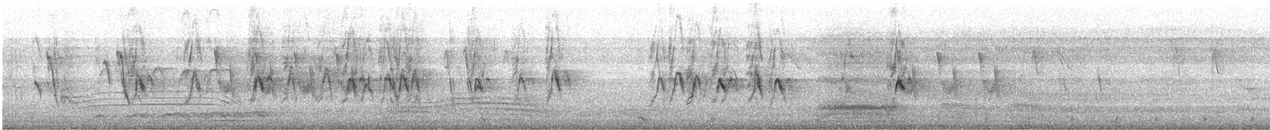 Moineau domestique - ML646234881