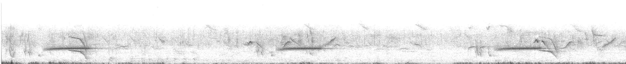 Brubru - ML646234890