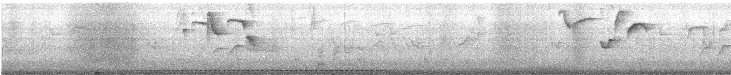 Undulated Antpitta - ML646234902