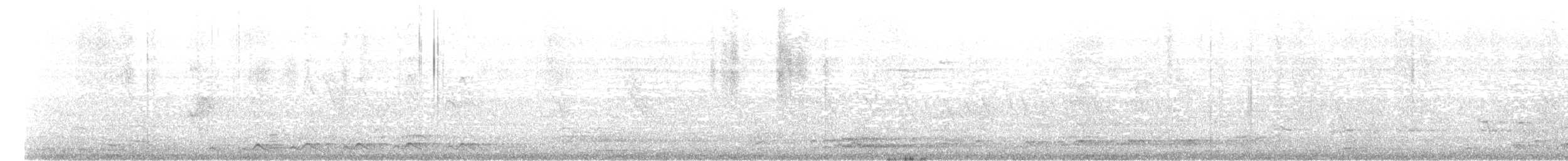 Asian Koel - ML646235040