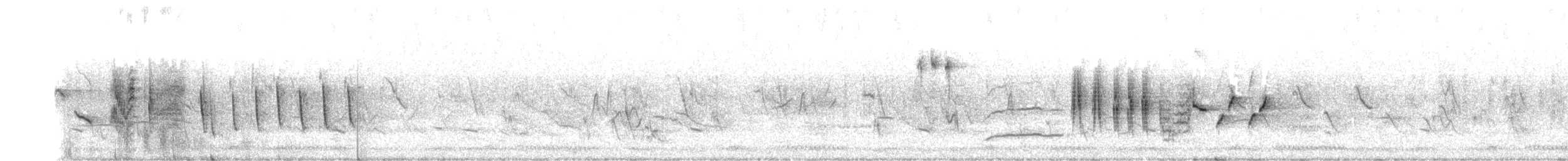 sabotalerke - ML646235132