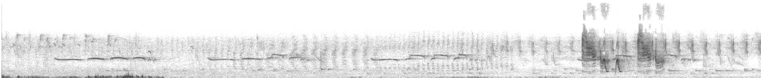 Dideric Cuckoo - ML646235276