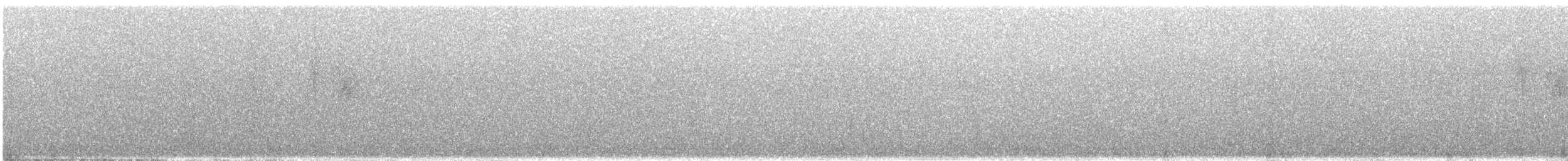 Black-naped Monarch - ML646235320