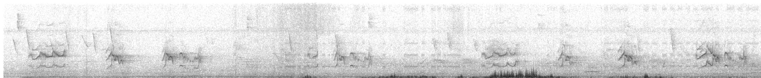 オオハシタイランチョウ - ML646235530