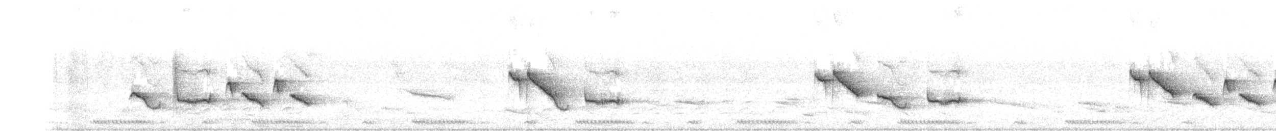 White-browed Scrub-Robin - ML646236093