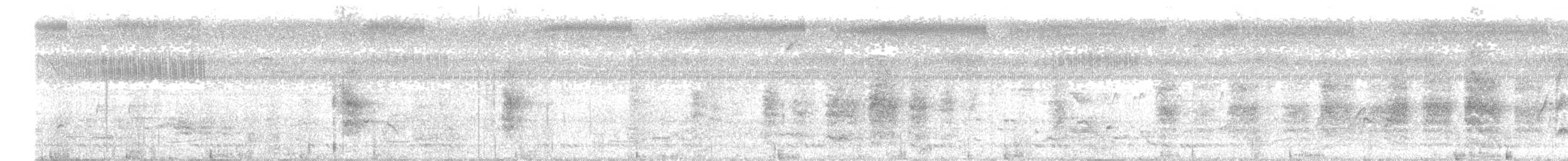 Gray Junglefowl - ML646236194