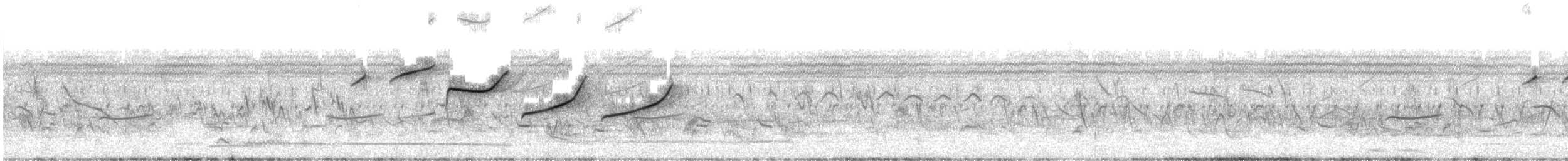 Short-clawed Lark - ML646236374