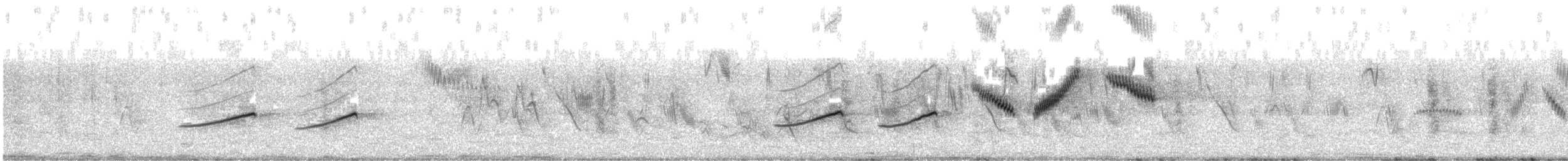 Short-clawed Lark - ML646236375