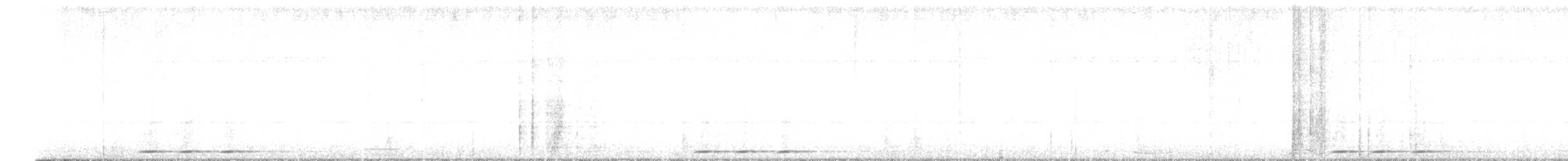 Huppe fasciée - ML646236498