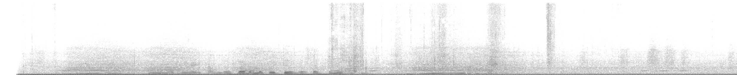 Huppe fasciée - ML646236534