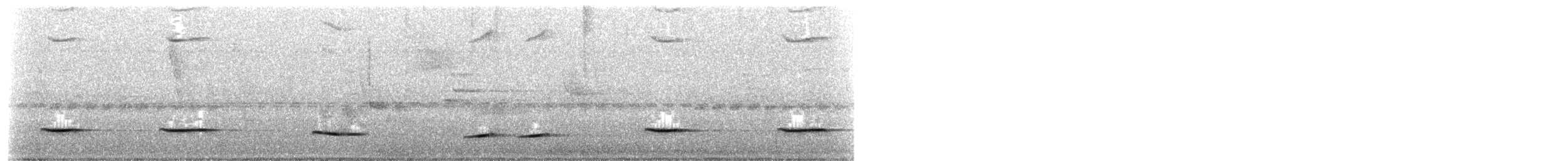 Oriole noir et or - ML646236562