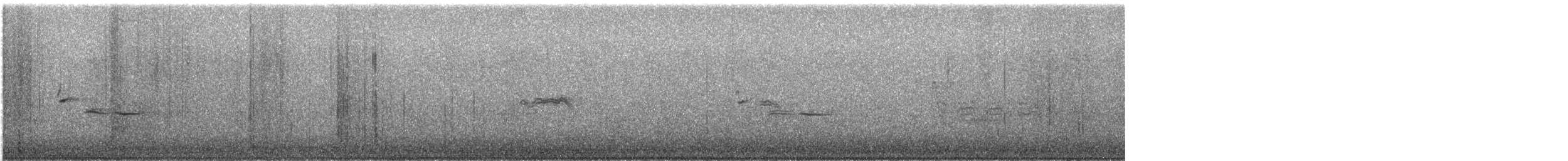 Pigeon biset (forme domestique) - ML646236619