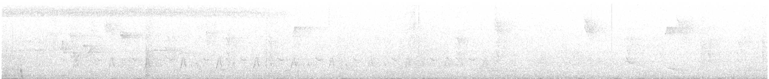 Поплітник амазонійський - ML646236809