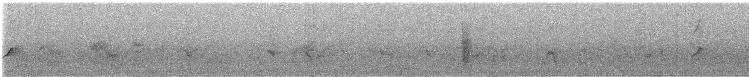 Drongo cendré - ML646236869