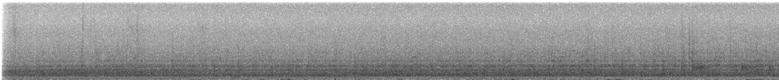 Canard souchet - ML646236928