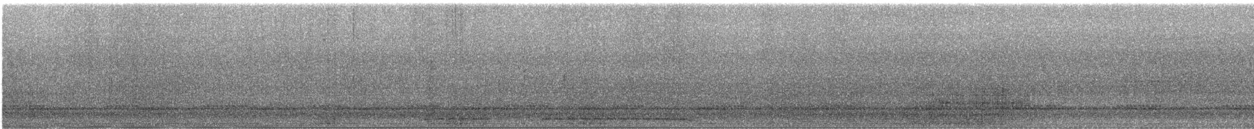 Petit-duc des montagnes - ML646237125