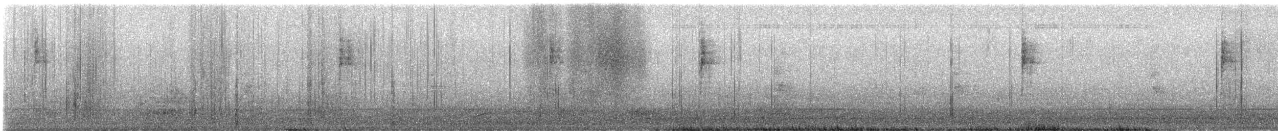 Paruline à joues grises - ML646237155