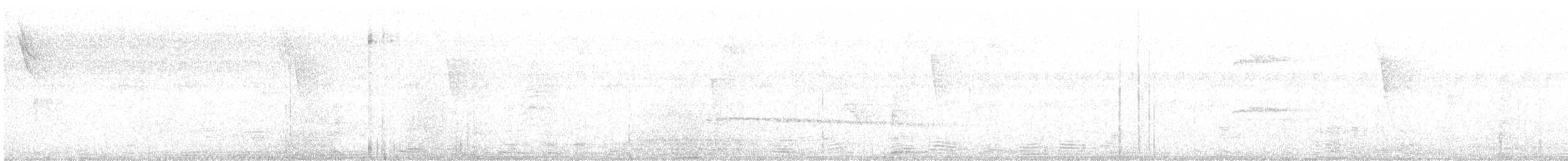 Microbate à long bec - ML646237213