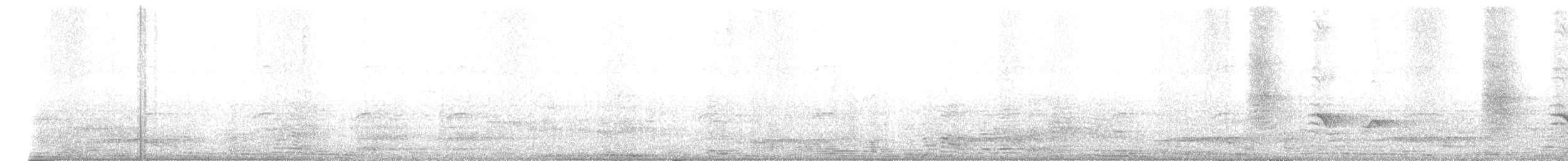 Drongo royal - ML646237258