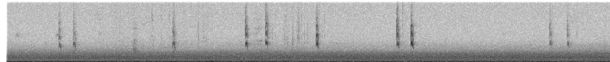 フユミソサザイ - ML646237414