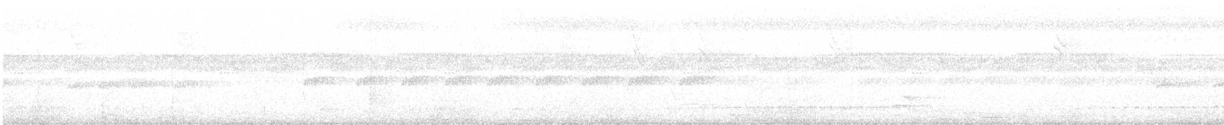 Black-crowned Antshrike - ML646237483