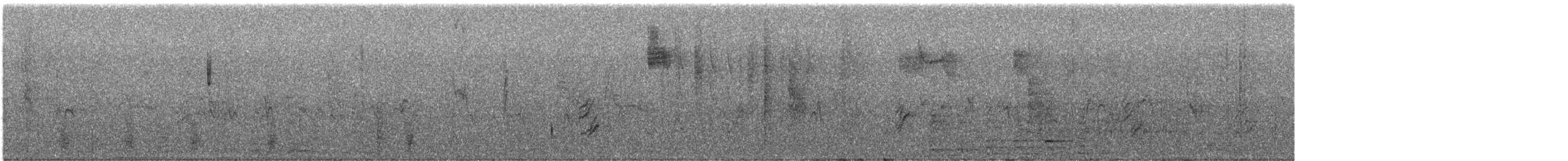 Island Scrub-Jay - ML646237899