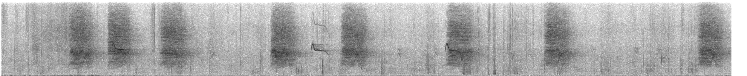 Island Scrub-Jay - ML646237900