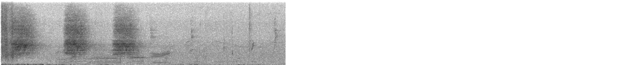 Island Scrub-Jay - ML646237901