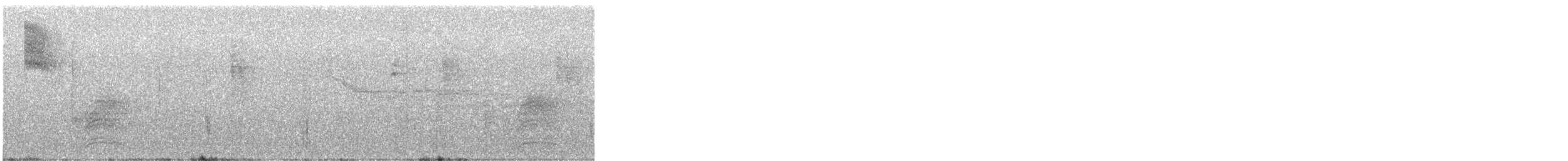 Spotted Towhee - ML646237914