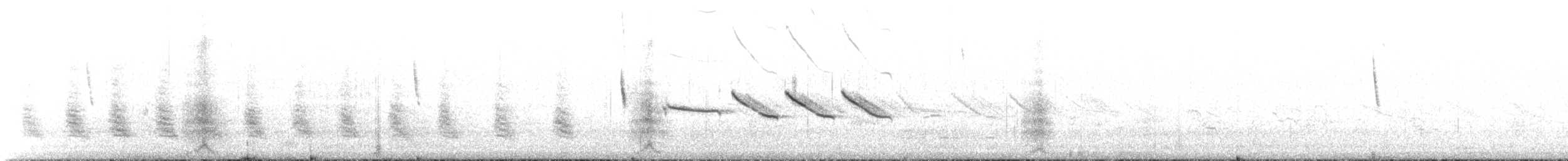 kachna vlasatá - ML646237921