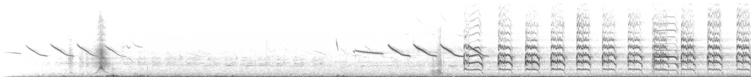 kachna vlasatá - ML646237922