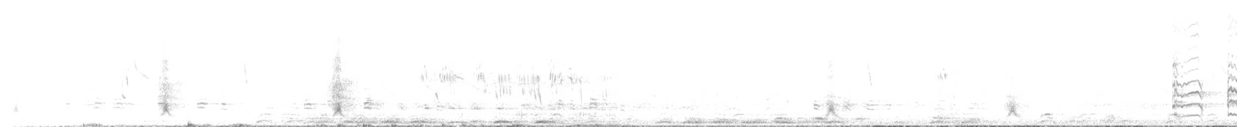 kachna vlasatá - ML646237923