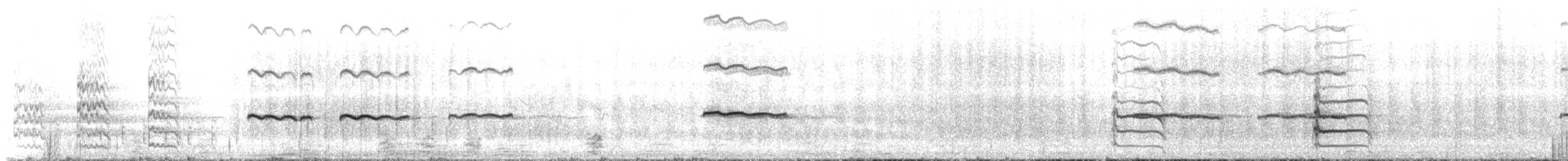 ústřičník žlutooký - ML646238023