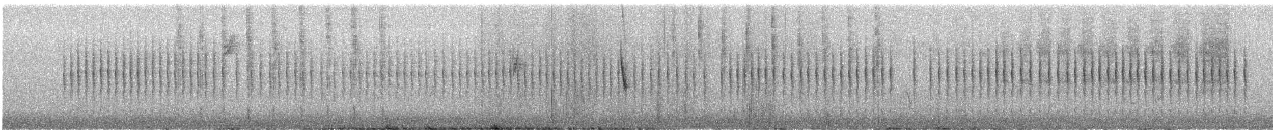 Wrentit - ML646238066