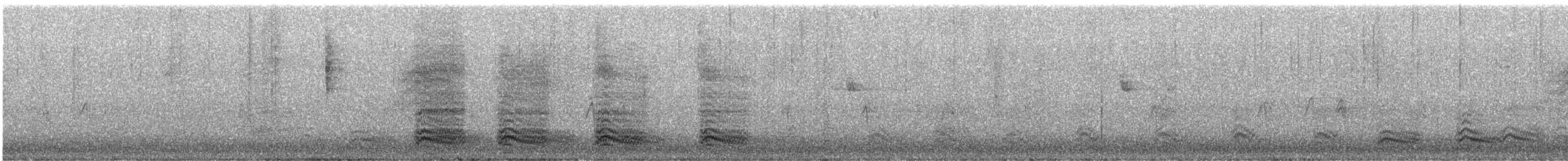 vrána americká - ML646238133