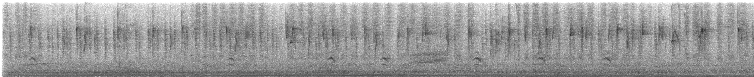 brhlík běloprsý - ML646238141