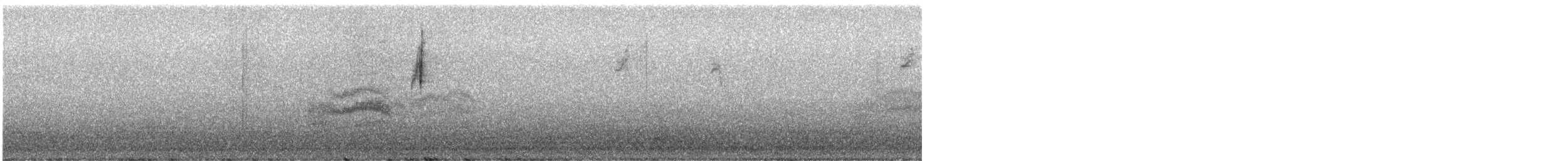 Orange-crowned Warbler - ML646238239