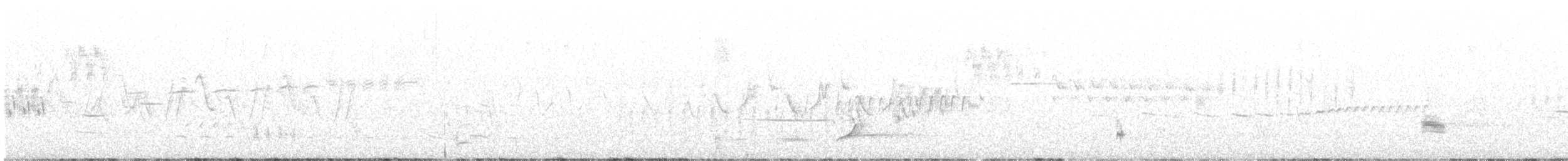 Bachman's Sparrow - ML646238325