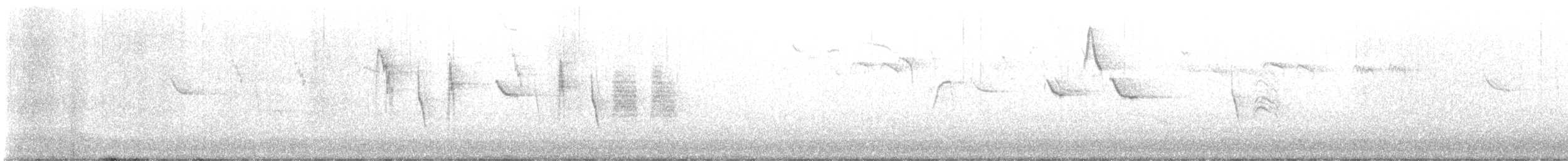 Cincia mora - ML646238398