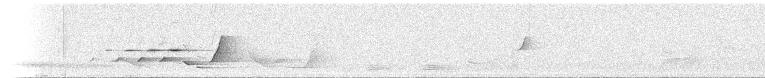 Silbador Dorado - ML646238954