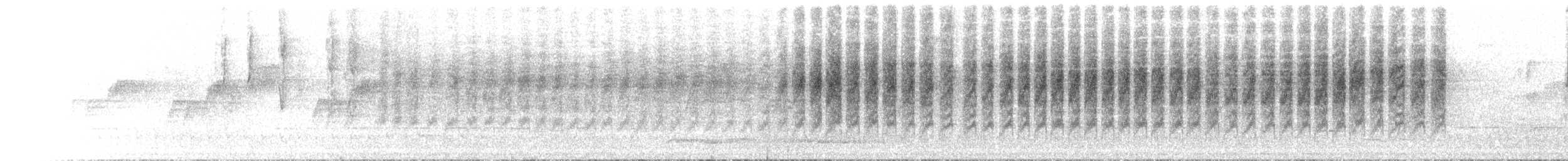 Sedosito Picudo - ML646238980