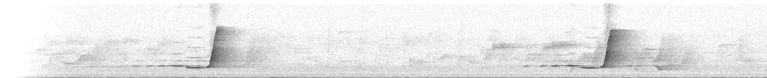 Silbador Dorado - ML646238987