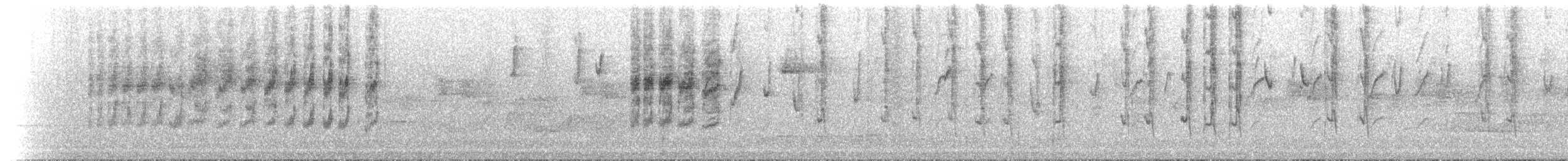 Sedosito Picudo - ML646239021