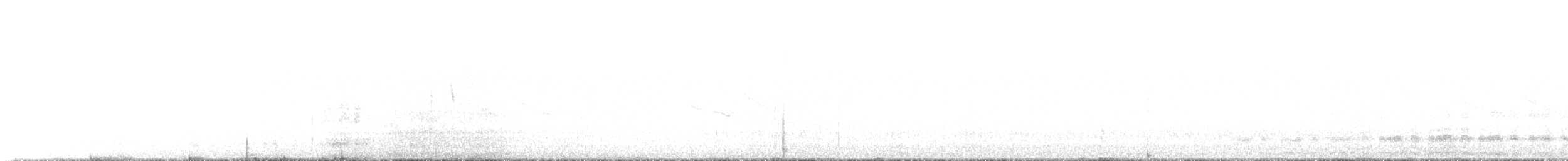 Magellanic Snipe - ML646239035